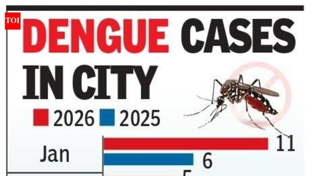 15 cases in Jul, 11 in Aug: Dengue stings city | Lucknow News