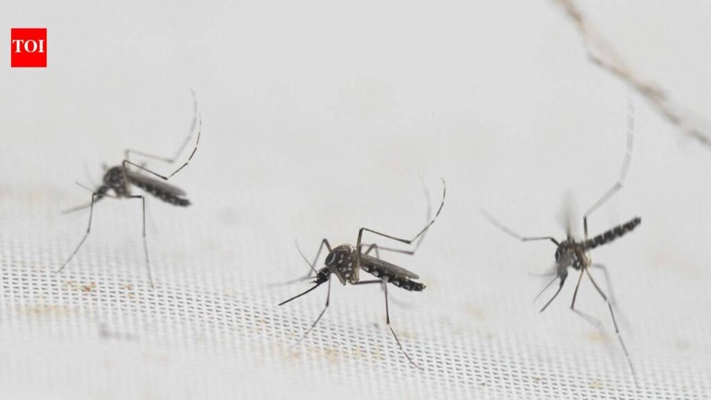 Vector-borne disease prevention intensified in Vattiyoorkavu: DMO