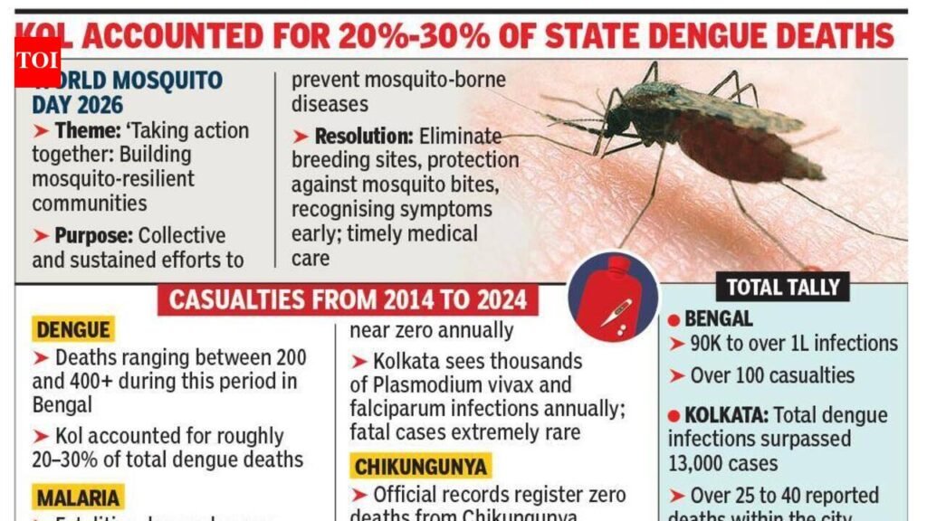 Mosquito-Borne Diseases Infected Over 1 L In State From ’14 To ’24: Docs | Kolkata News