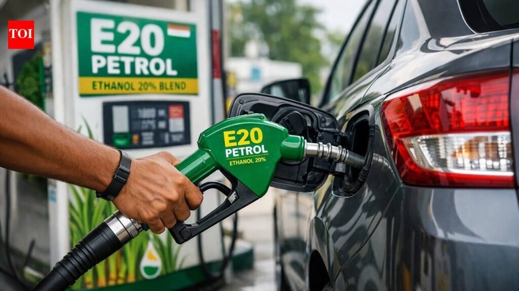BPCL CMD says mulling E10 petrol option, then walks back | India News