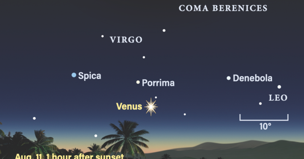 The Sky Today on Tuesday, August 11: Venus, half-lit 