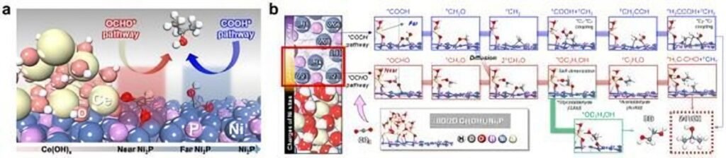 Sungkyunkwan University researchers develop catalyst to turn CO2 into useful chemicals