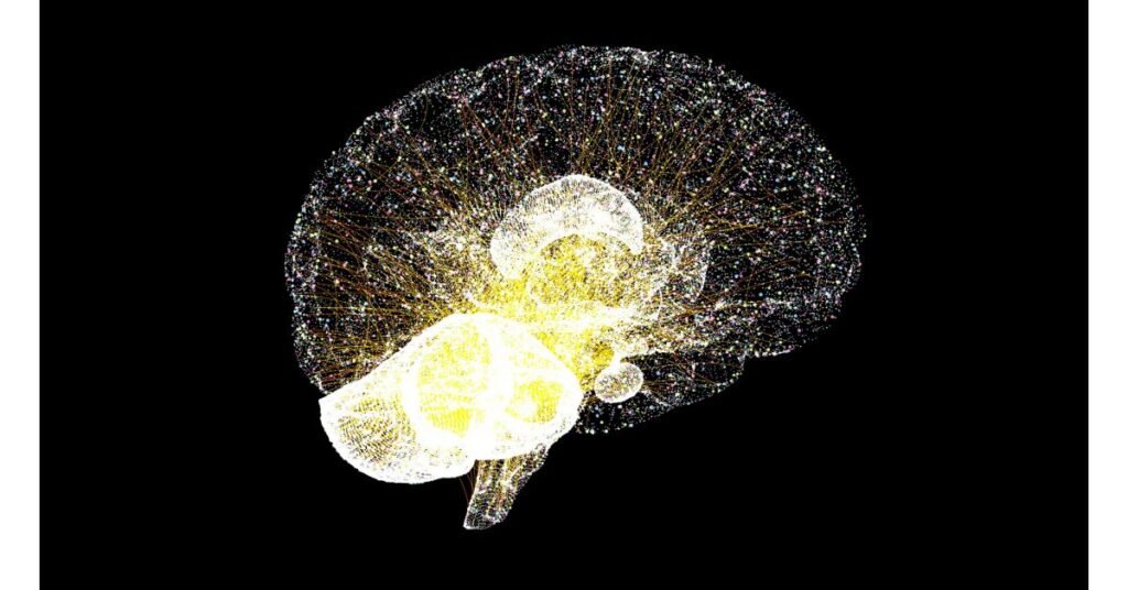 Healthy Lifestyle Habits Can Support Brain Health Throughout the Aging Process