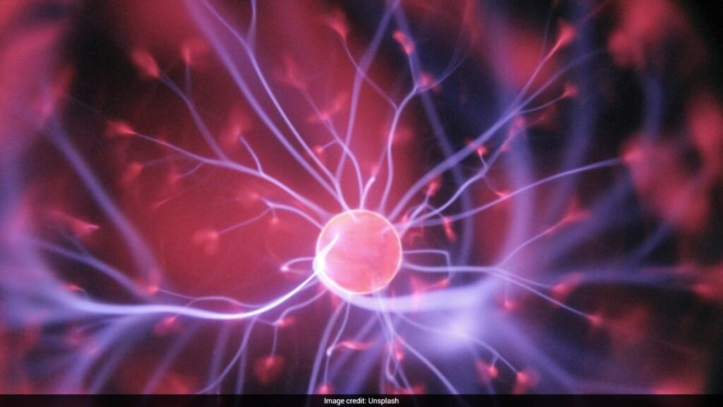 Lab-Grown Human Brains Grow For 7 Years, Set Longevity Record