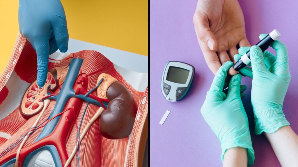 Can Kidney Health Impact Blood Sugar?