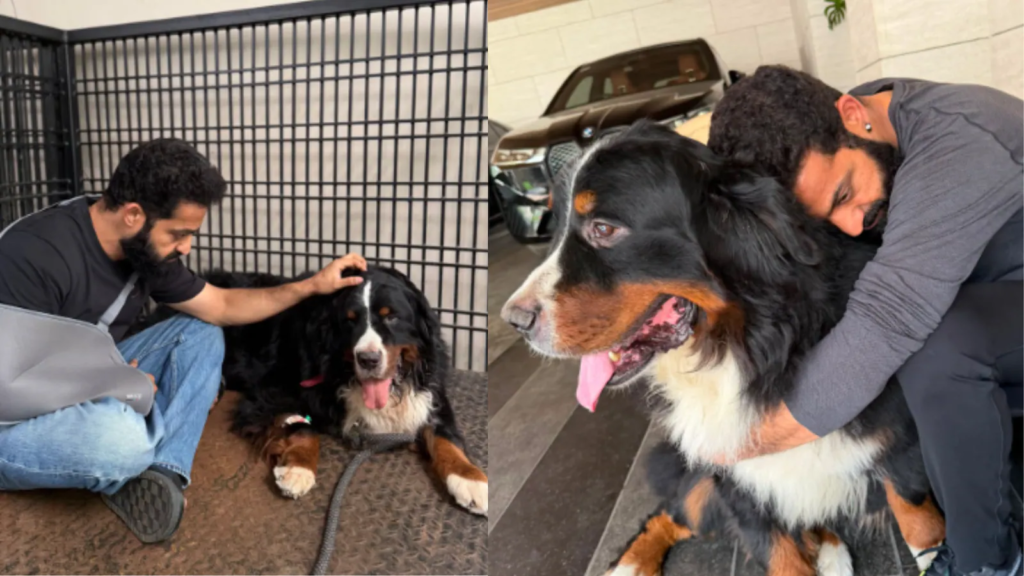 “Run Free, My Little One”: Jr NTR Mourns Loss Of His Beloved Pet Dog Bagheera