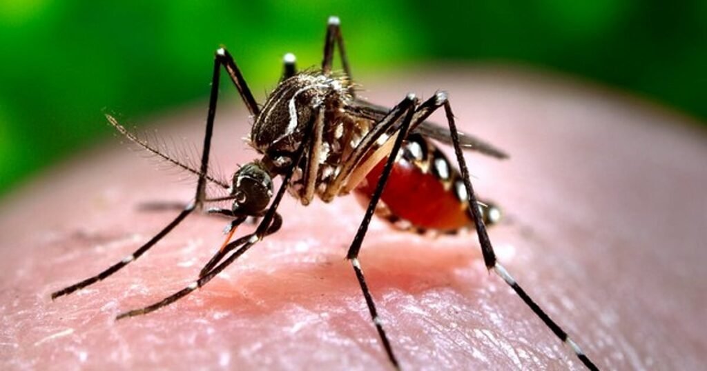 Malaria cases rise in Agency areas of AP’s Polavaram