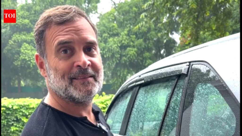 Rahul Gandhi: ‘Govt stealing money, destroying lives’: Rahul Gandhi vows campaign against E20 | India News