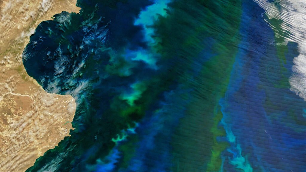 Why the South Asian monsoon behaves like two systems
