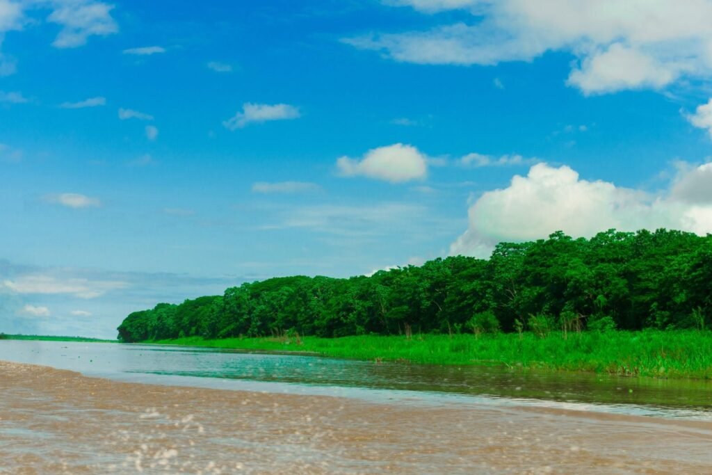The Peruvian Amazon holds a river that runs hot enough to boil small animals that fall in, reaching 86 degrees Celsius along a 6-kilometre stretch with no volcano anywhere nearby, and geologists think it is heated by water circulating several kilometres deep through faults in the rock