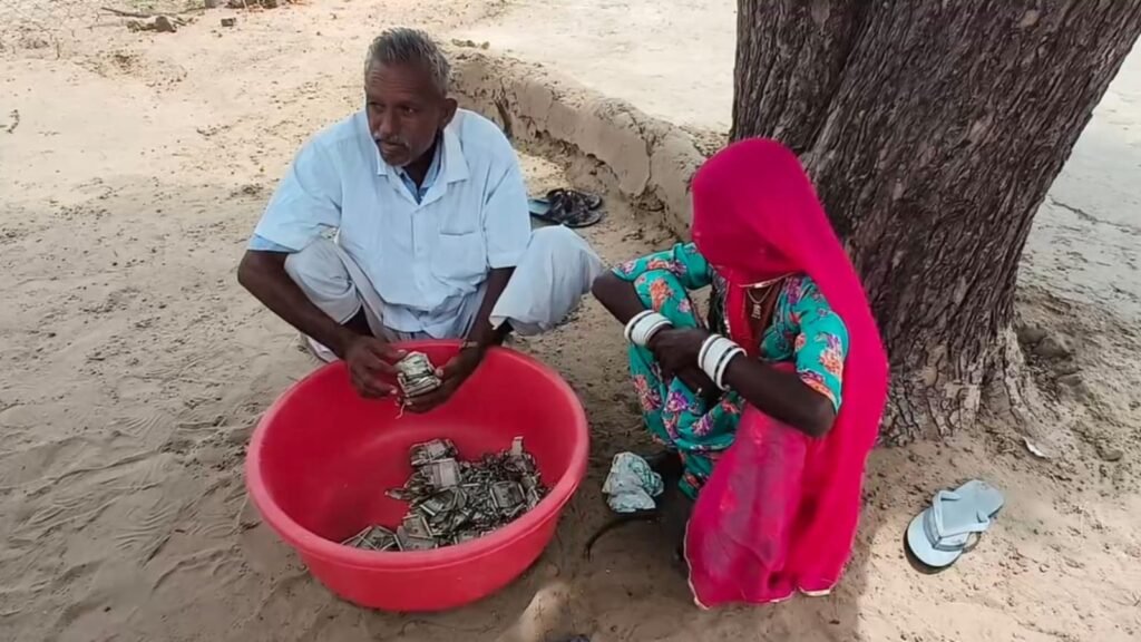 Rajasthan Farmer Hid Rs 5 Lakh From His Family. A Year Later, Termites Had Eaten It All
