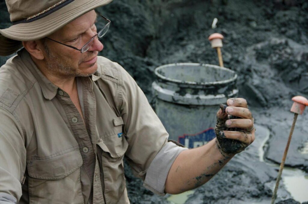 New Jersey is a fossil hotspot, with answers about the day the dinosaurs died | News
