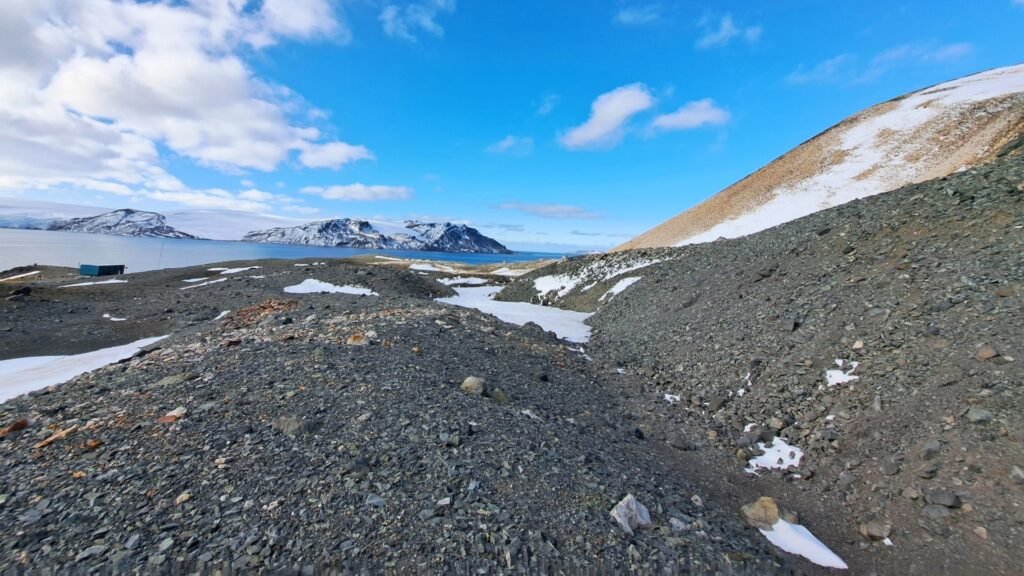 Antarctica is home to microbes found nowhere else on Earth